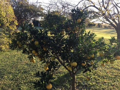 Imagen 17 de 30 de Venta - Campo En Cardales - Bayugar Negocios Inmobiliarios