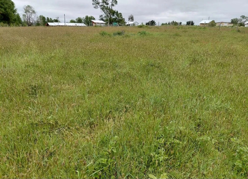 Venta Parcela 5000mts Cunco