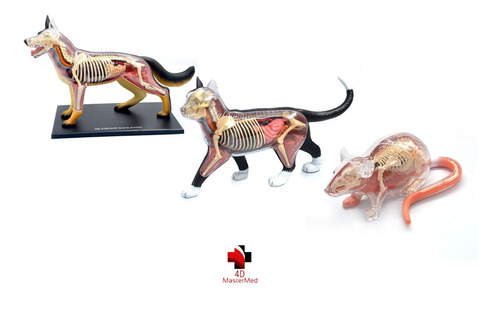 Imagem 1 de 7 de Anatomias: Cachorro, Gato E Rato - 4d Master