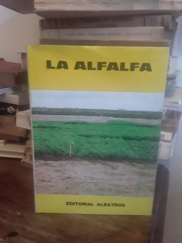 La Alfalfa