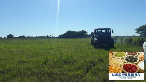 Fazenda À Venda Em Pium - To - De 170 Alqueirões (dupla Aptidão) - 1609
