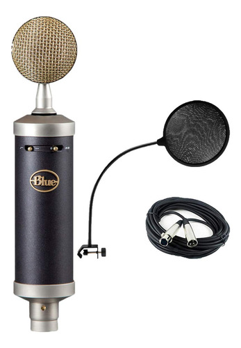 Microfono Condensador Para Estudio Diafragma Filtro Pop Xlr