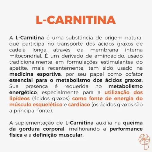 funes da l carnitina Brasil Acetil L | FSL Farma