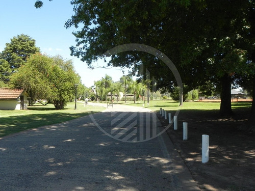 Imagen 14 de 26 de Oportunidad Venta De Lote 820 Mts Country Boca Ratón