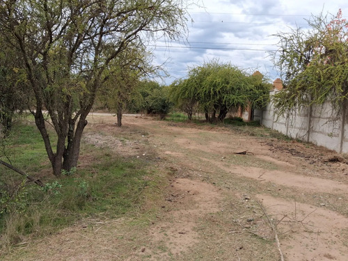 Oferta Parcela 5.000 Mt2, Talca (pencahue) Agua Y Luz