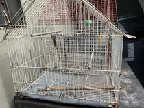Comprar Jaula Canarios Mediana Blanco