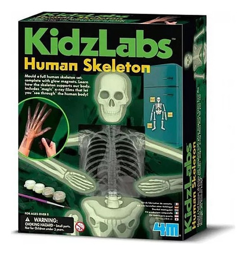 Set Infantil Ciencia Armar Esqueleto Humano Brilla Oscuridad
