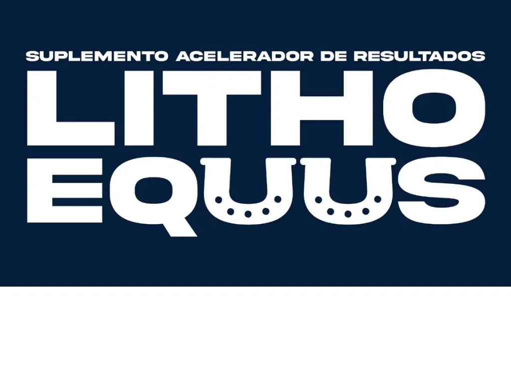 Litho Equus