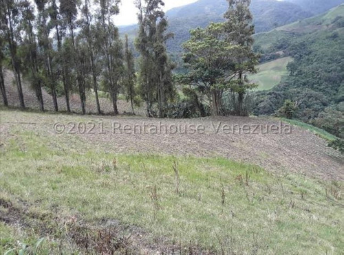 Milagros Inmuebles Terreno Venta Jimenez Lara Quíbor Economica Residencial Economico Comercial Código Inmobiliaria Rent-a-house 22-5384