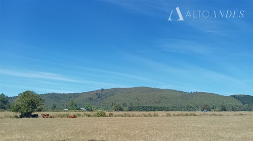 Agrícola En Venta En Pitrufquén. Faja Maisan 