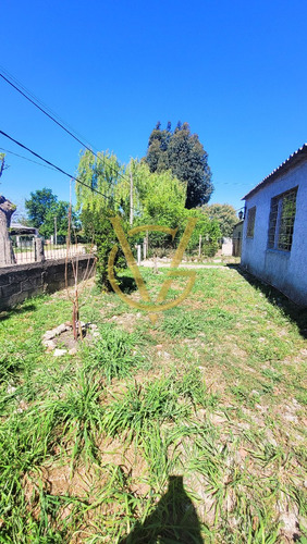 Imagen 12 de 20 de Casa Venta 2 Dormitorios Terreno Padrón Único Joaquín Suárez Casarino