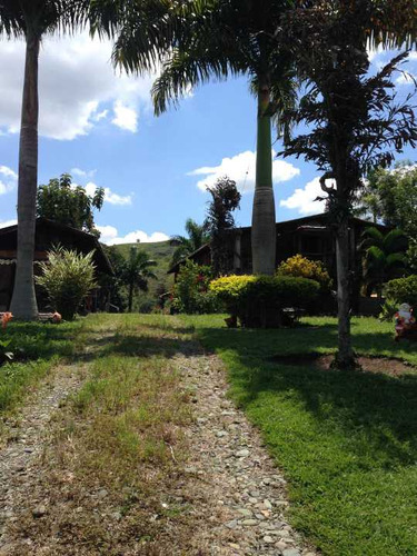 Se Vende Hermosa Finca De 26 Cuadras Via Barragán, Génova, Quindío