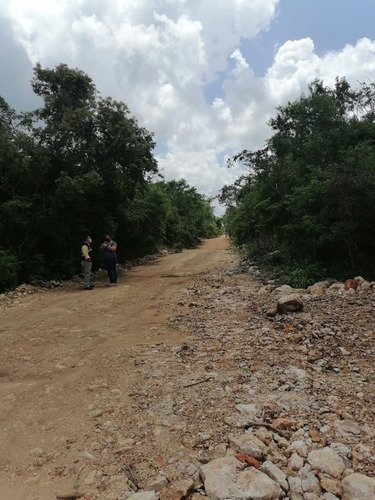 Imagen 4 de 10 de Lotes Semi Urbanizados Punta Clara En Dzidzantún, Yucatán