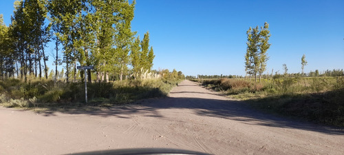 Imagen 2 de 3 de Vendo - Permuto Finca De 274 Has En Gral. Alvear - Mza