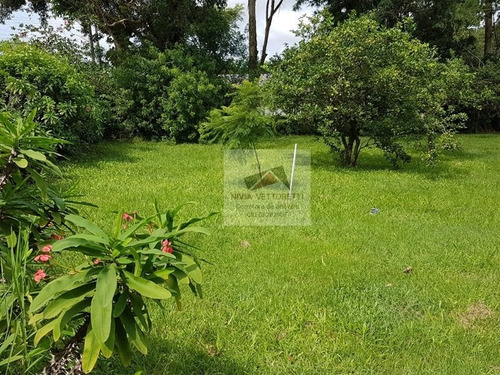 Imagem 3 de 20 de Terreno A Venda No Bairro Ingleses Do Rio Vermelho Em - 4334-1