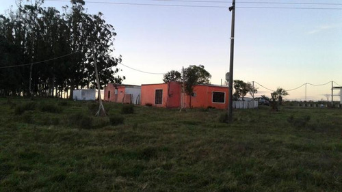Chacra - Los Ceibos