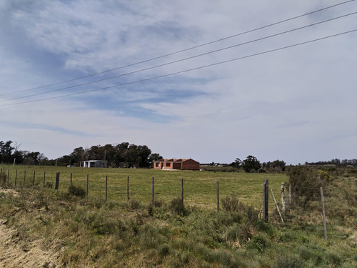 Venta Campo En Sauce, Con Cabaña Y Galpón