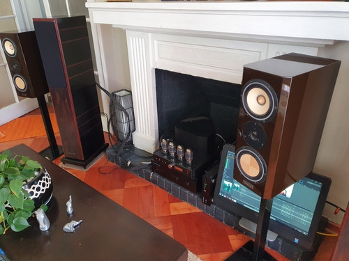 Parlantes High End Contrast Audio Magic.