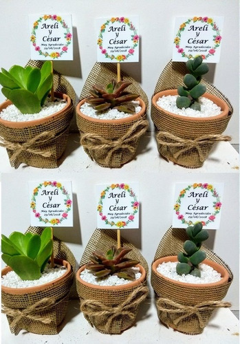 Cactus Y Suculentas Matrimonios Bautizos Baby Shower Misas
