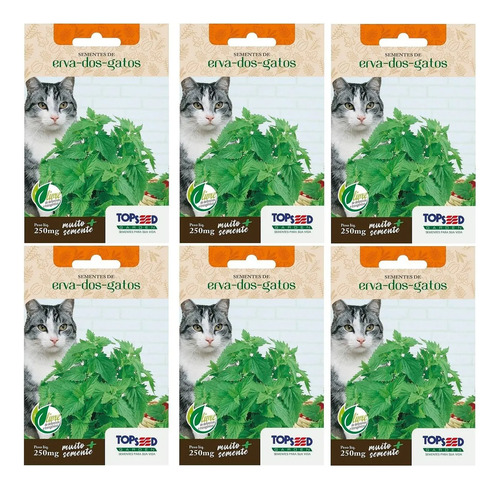 6x Sementes Erva Dos Gatos Catnip (nepeta Cataria) Topseed