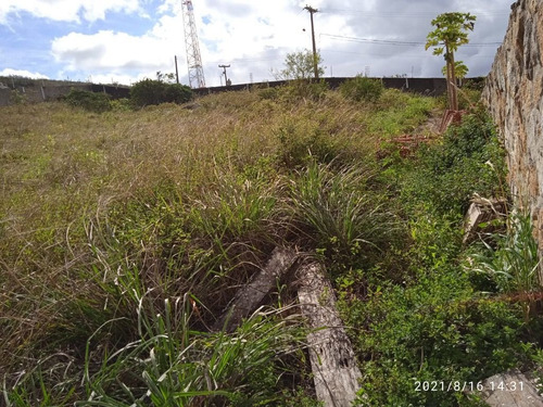 Imagem 6 de 6 de Terreno Em Cruzeiro, Gravatá/pe De 3000m² À Venda Por R$ 350.000,00 - Te1195112-s