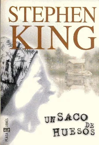 Stephen King: Un Saco De Huesos