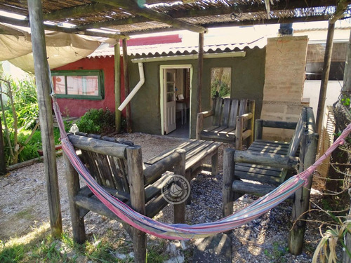 La Higuera En Cabo Polonio