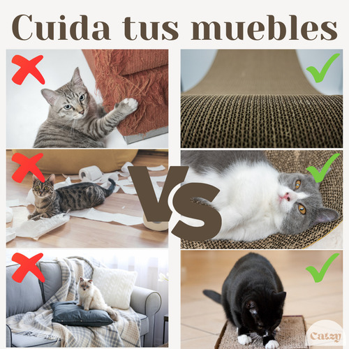 Catzy I Tabla Rascador Escuadra de Cartón Resistente con Hierba Gatera Catnip Gato Mueble Arbol Torre Cat Color Beige