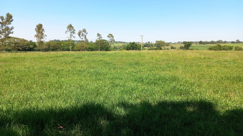 Imagem 7 de 15 de Chácara De 2 Alqueires A 500 Metros Da Cidade De Nhandeara Sp
