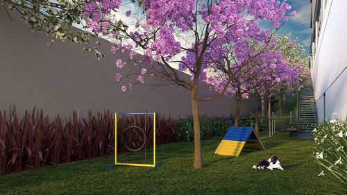 Imagem 7 de 25 de Apartamento - Ap03253 - 69290376