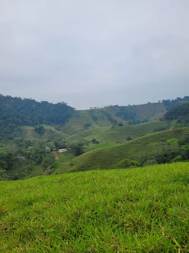 Se Vende Finca Ganadera En Doradal