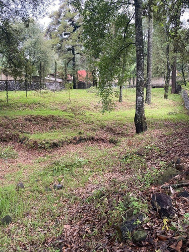 Imagen 4 de 15 de Terreno Bardado A Orilla De Carretera En Huitzilac, Morelos.