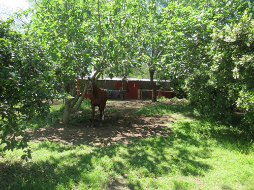 Imagen 19 de 22 de Casa Campo En Venta En Manzanares -pilar, G.b.a. Zona Norte