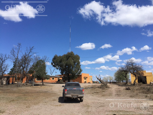 Campo De Cría/recría 74.000 Has. Para 8800 Madres, Armado En Mendoza