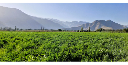 En Venta Terreno Agrícola De 4,5 Hectáreas, En Catemu.