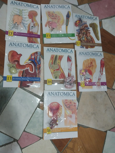 Enciclopedia Anatomica La Unidad En Oferta 3 La Unidad