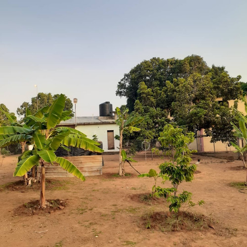 Imagen 11 de 12 de Se Vende Finca-casa Km