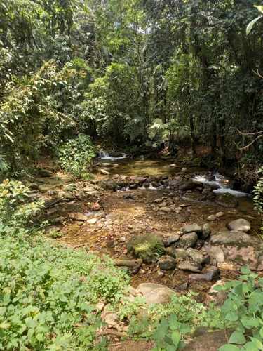 Casa 4 Quartos. Sendo Uma Suíte,  3 Banheiros,  Área Gourmet