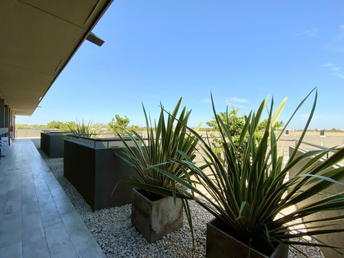 Imagen 6 de 15 de Amplio Monoambiente Con Gran Terraza Con Parrilla