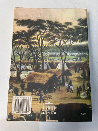 Diccionario Biográfico Histórico Y Geográfico Argentino (Usado)