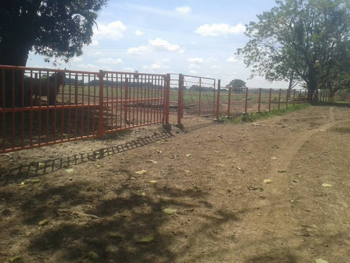 Imagen 11 de 22 de Finca Sector Caroní Estado Barinas En Venta