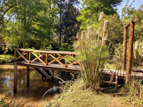 Imagen 10 de 14 de Cabañas En El Delta De Tigre La Escondida