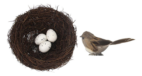 Naturaleza Nido De Pájaro Artificial Con Huevos Jaula Gris