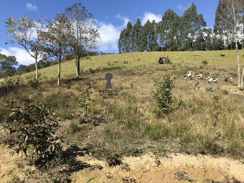 Chácara A Venda No Bairro Centro Em Bocaiúva Do Sul - Pr. - 470-1