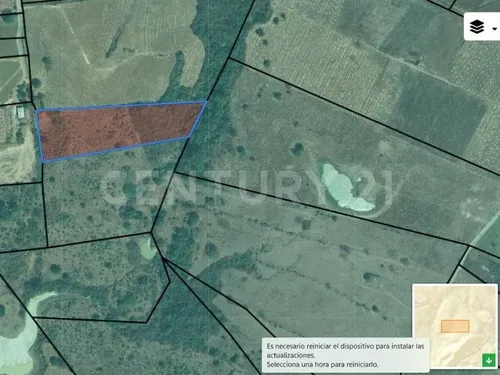 Se Vende 11.4 Hectáreas En Buenavista, Cuauhtémoc, Colima