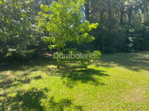 Imagen 3 de 5 de Terreno Lote En Venta Barrio Cerrado El Resuello, Moreno, G.b.a. Zona Oeste