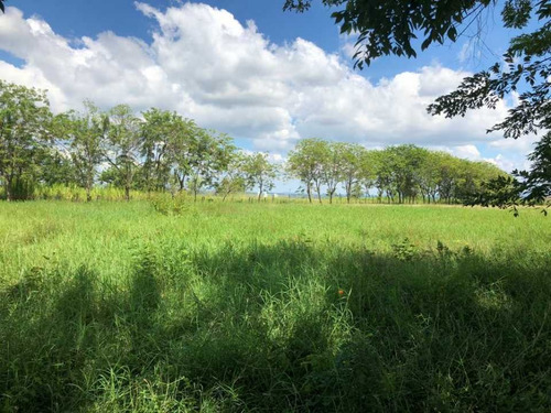 Imagen 19 de 22 de Finca En Tinaquillo Con 132 Hectáreas, Excelente Oportunidad