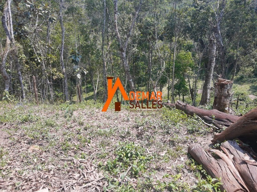 Imagem 30 de 30 de Chacara - Ch00095 - 68699428