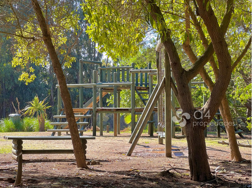 Acogedor Dpto En Primera Línea, Condominio Alto Mar Maitenci