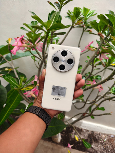 Celular Oppo Find X8 Pro (Usado)
